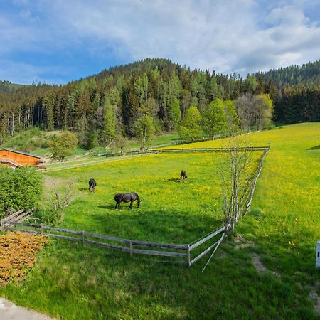 Huberhof 1 By Alpenidyll Apartments Schladming Zewnętrze zdjęcie