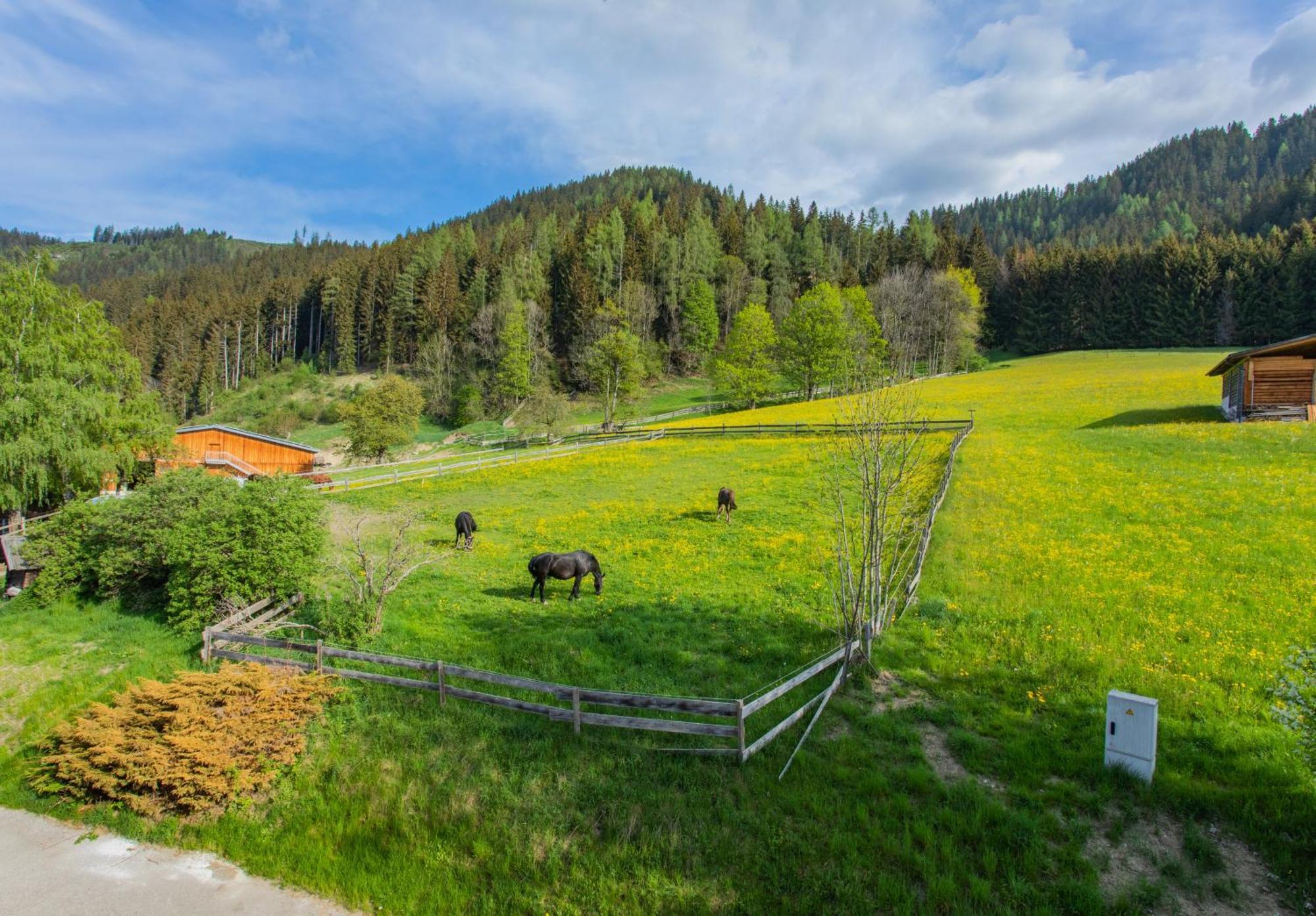 Huberhof 1 By Alpenidyll Apartments Schladming Zewnętrze zdjęcie